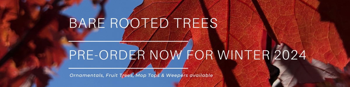 1200px x 300px - Advanced trees delivered to your door. Browse our range online