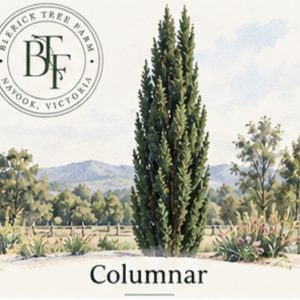 Columnar