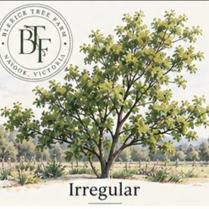 Irregular