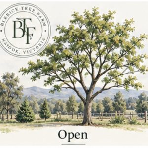 Open