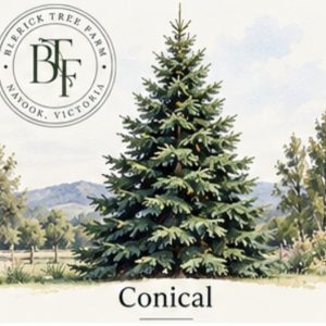 Conical